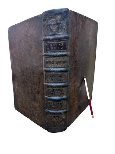 Antikes buch caroli - -,
